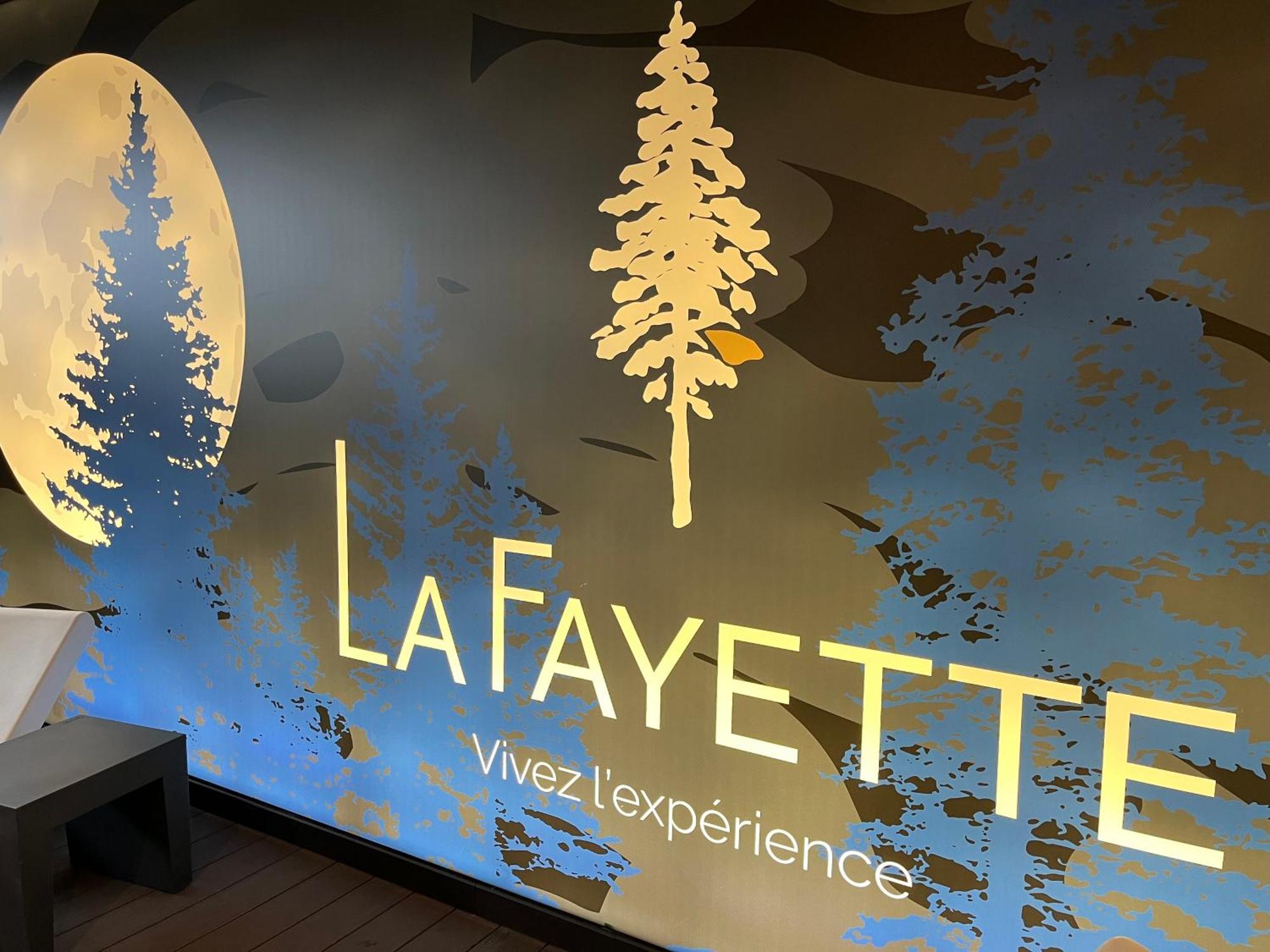Best Western Plus La Fayette Hotel Et Spa Épinal Εξωτερικό φωτογραφία